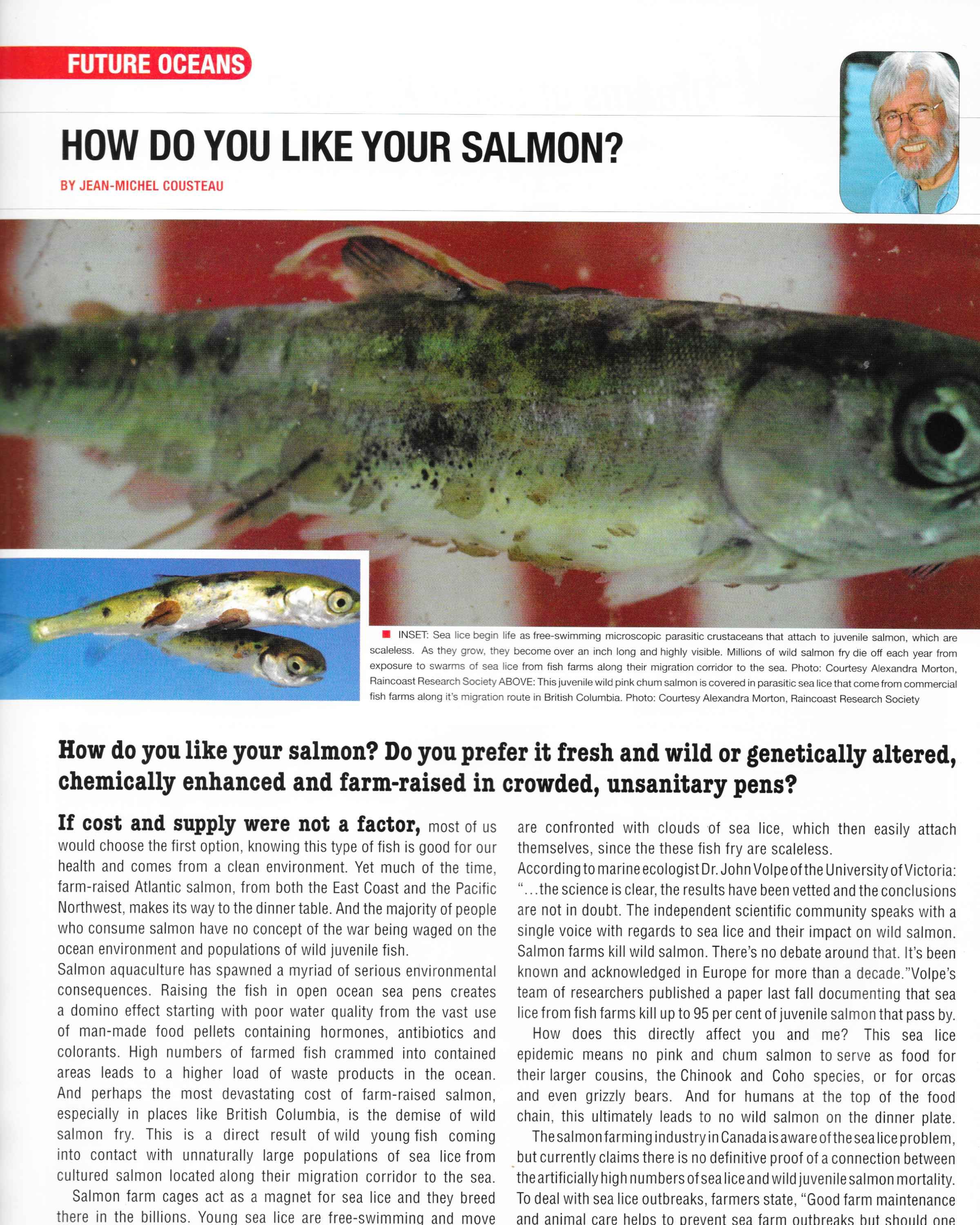 Pg. 10 Diver Magazine , September 2007