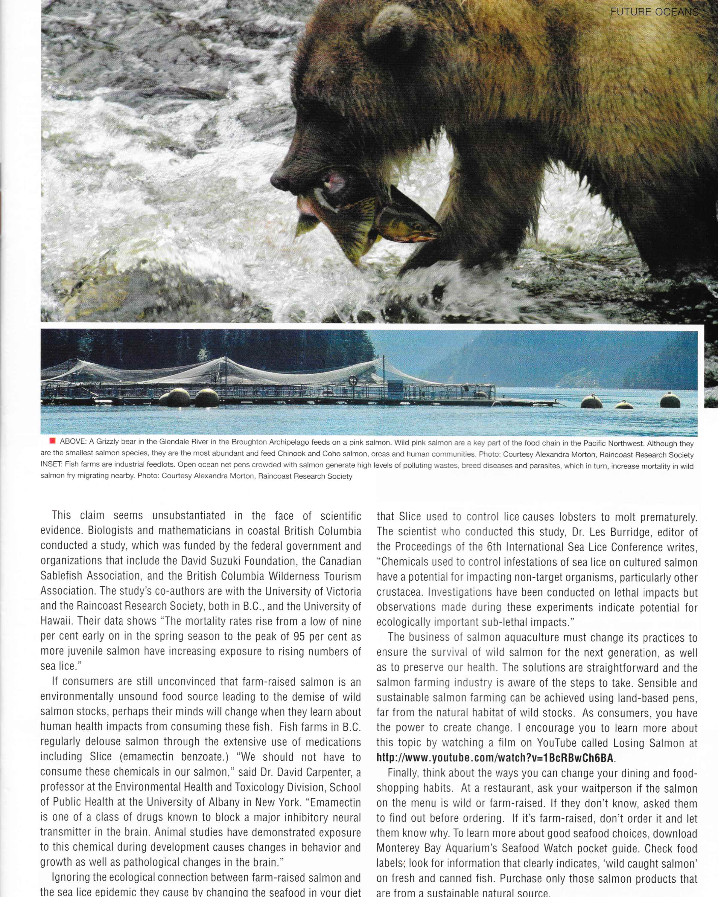 Pg. 11, Diver Magazine , September 2007