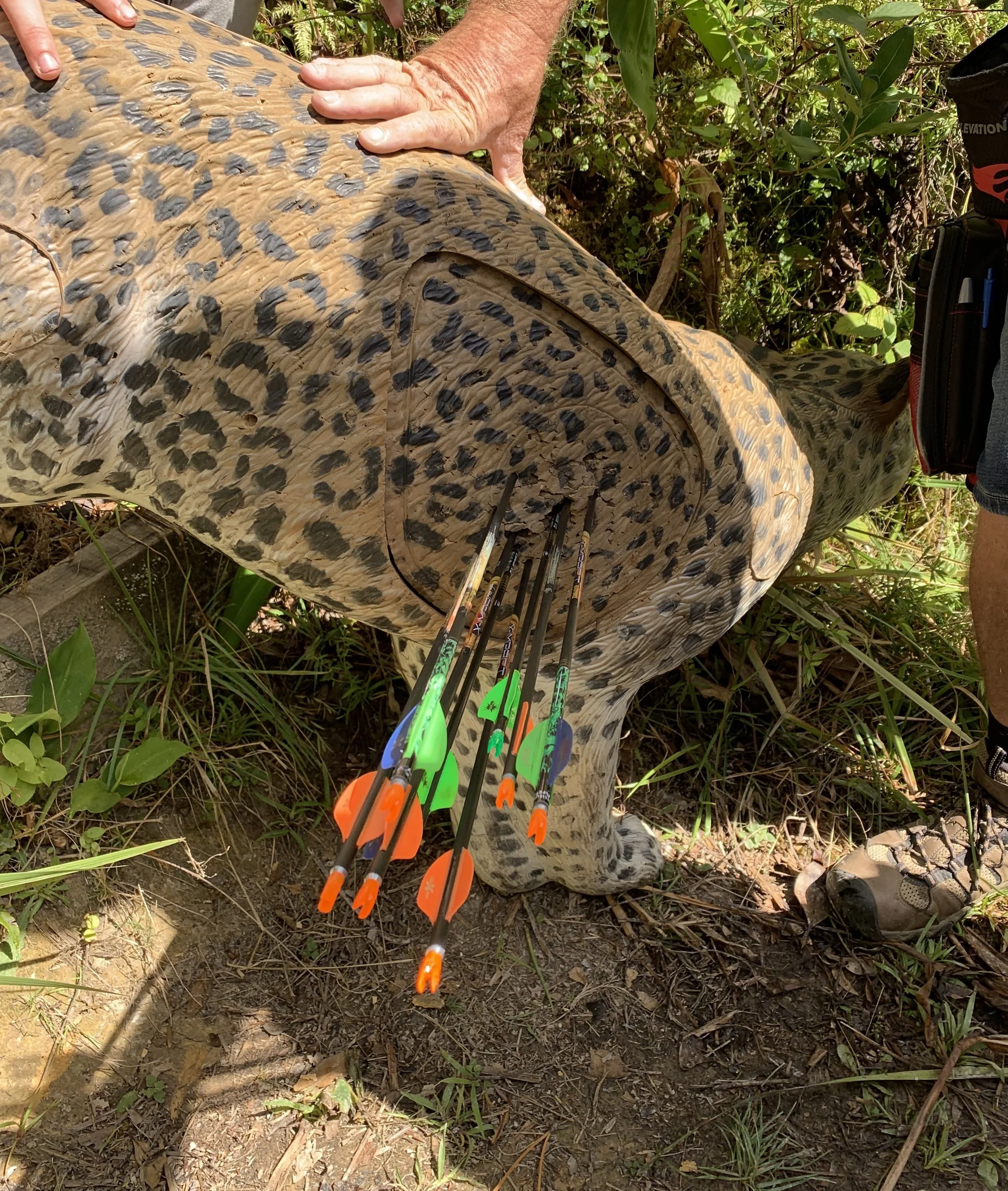 Photo 24-02-19, 11 23 04.jpg