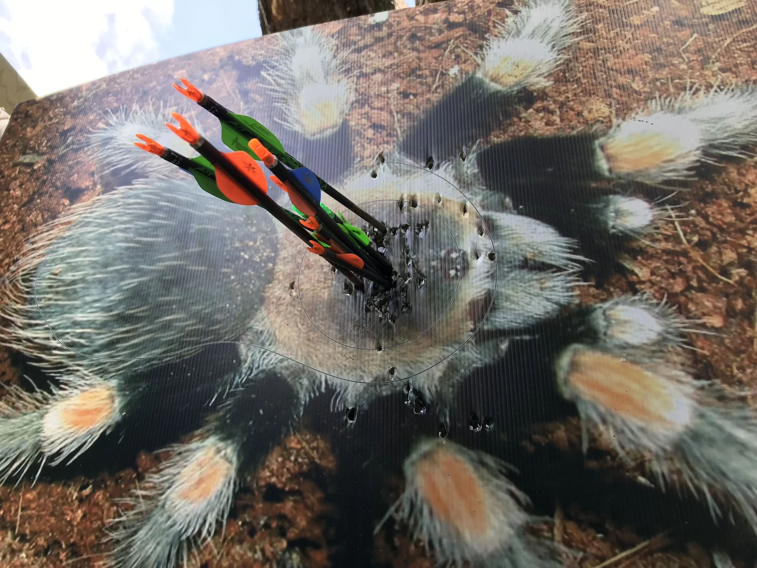 Photo 24-02-19, 13 06 20.jpg