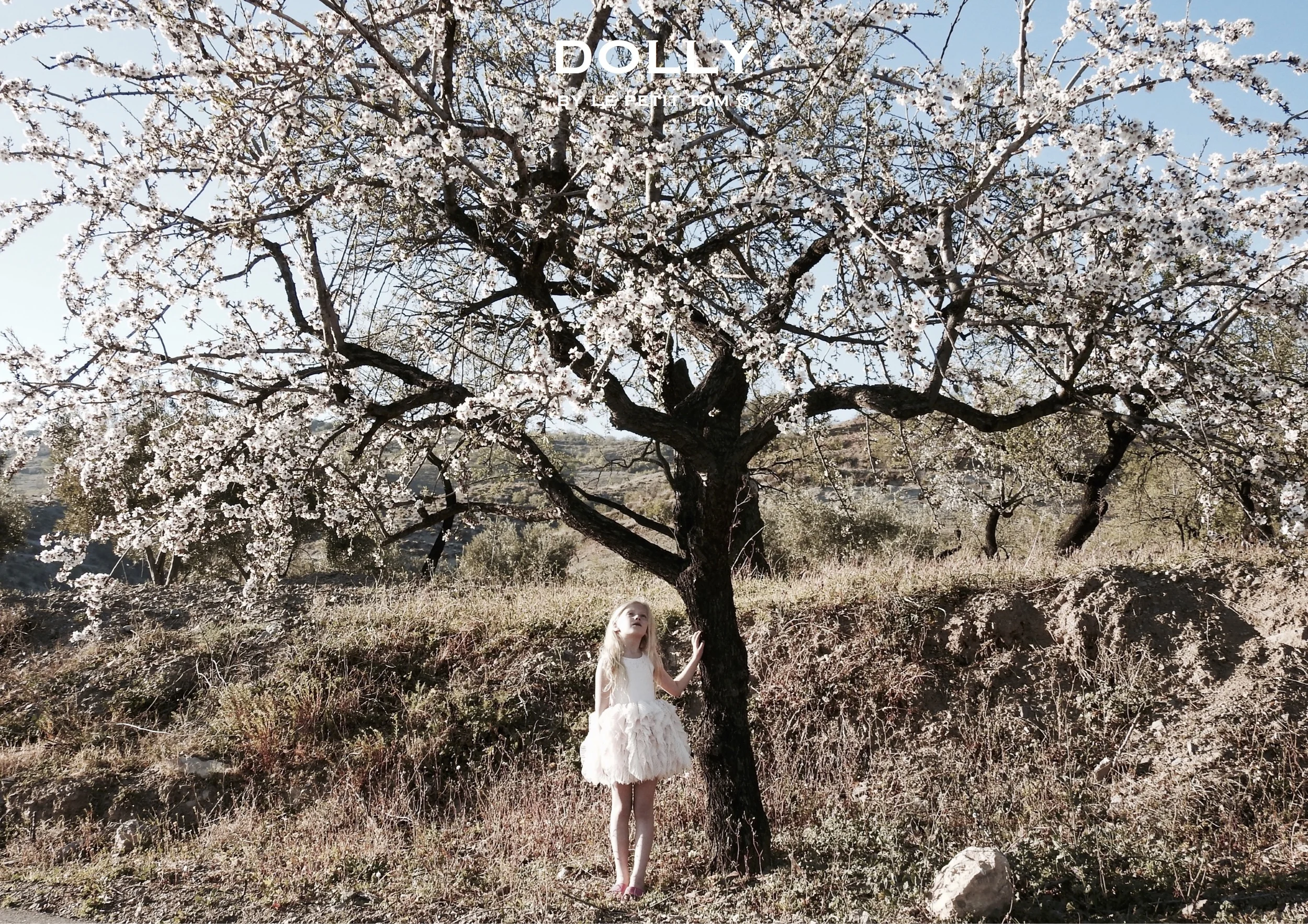 FANCIFUL-TREE.jpg