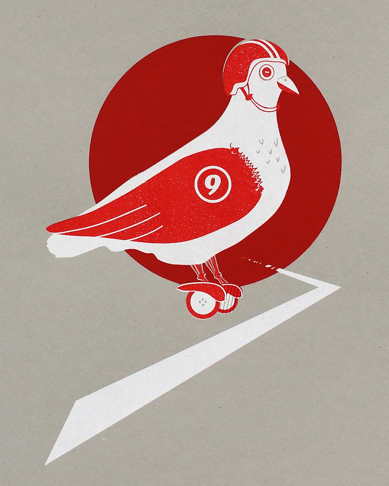 Racing_pigeon_02.jpg