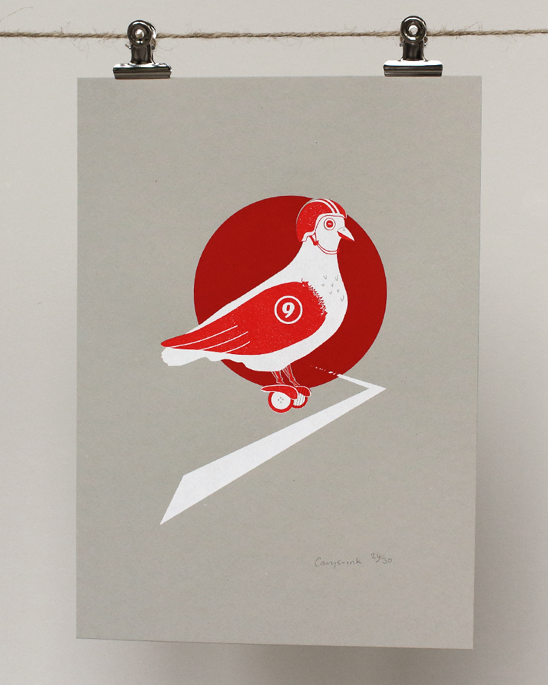 Racing_pigeon_01.jpg