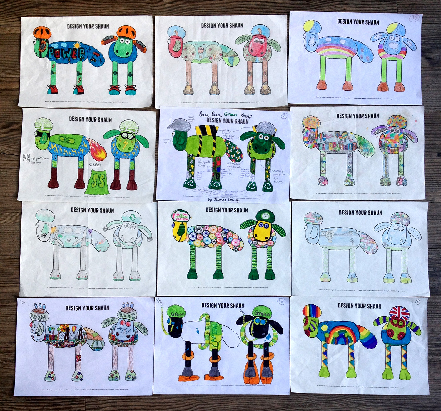 The 12 selected designs, 1 from each class (age range 7-11 years)