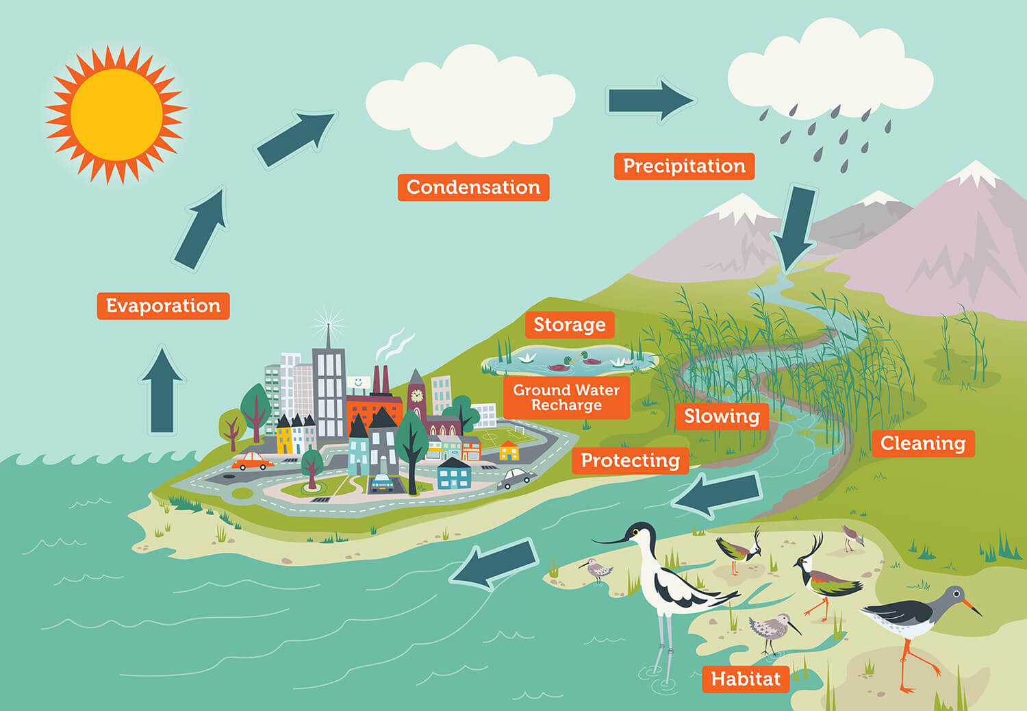 Water Cycle 01