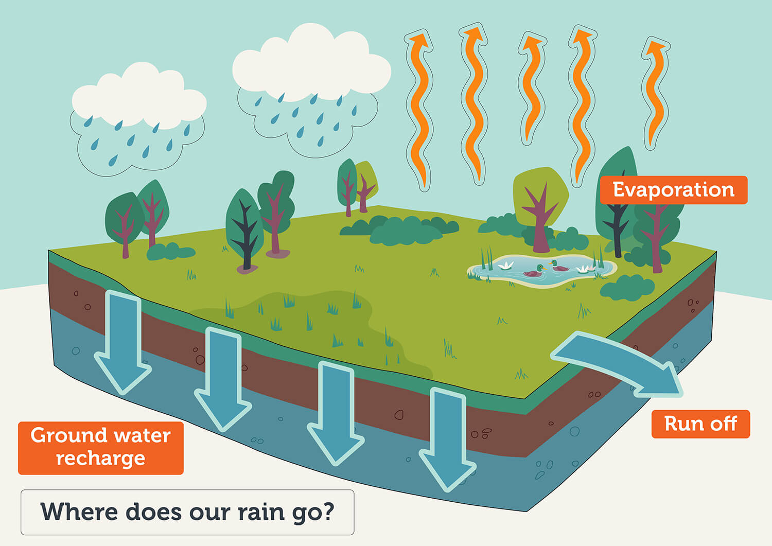 Where does our rain go 02