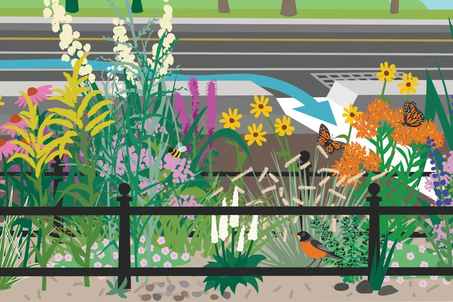 Bioswale illustration_detail 02