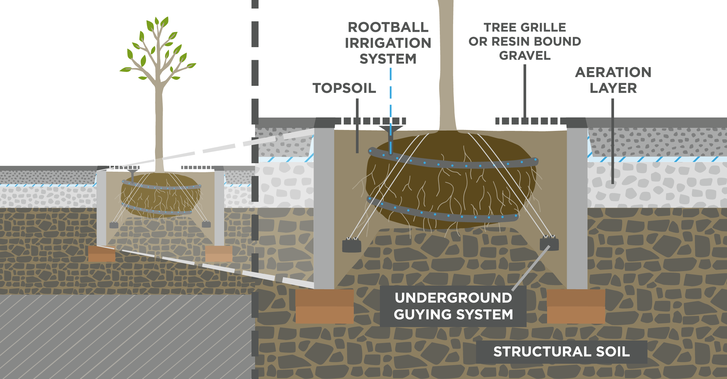 STOCKHOLM TREE PITS — Carysink Freelance Illustrator & Graphic
