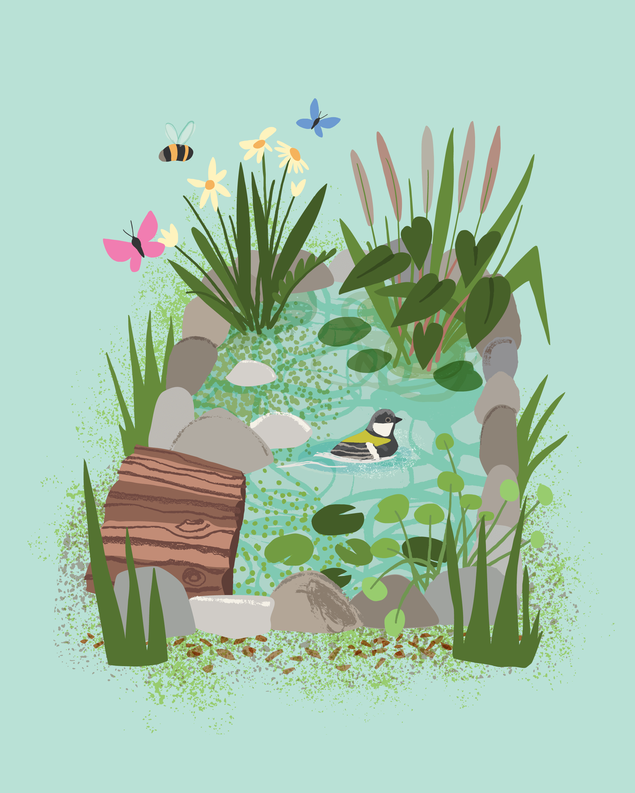 pond@2x.png