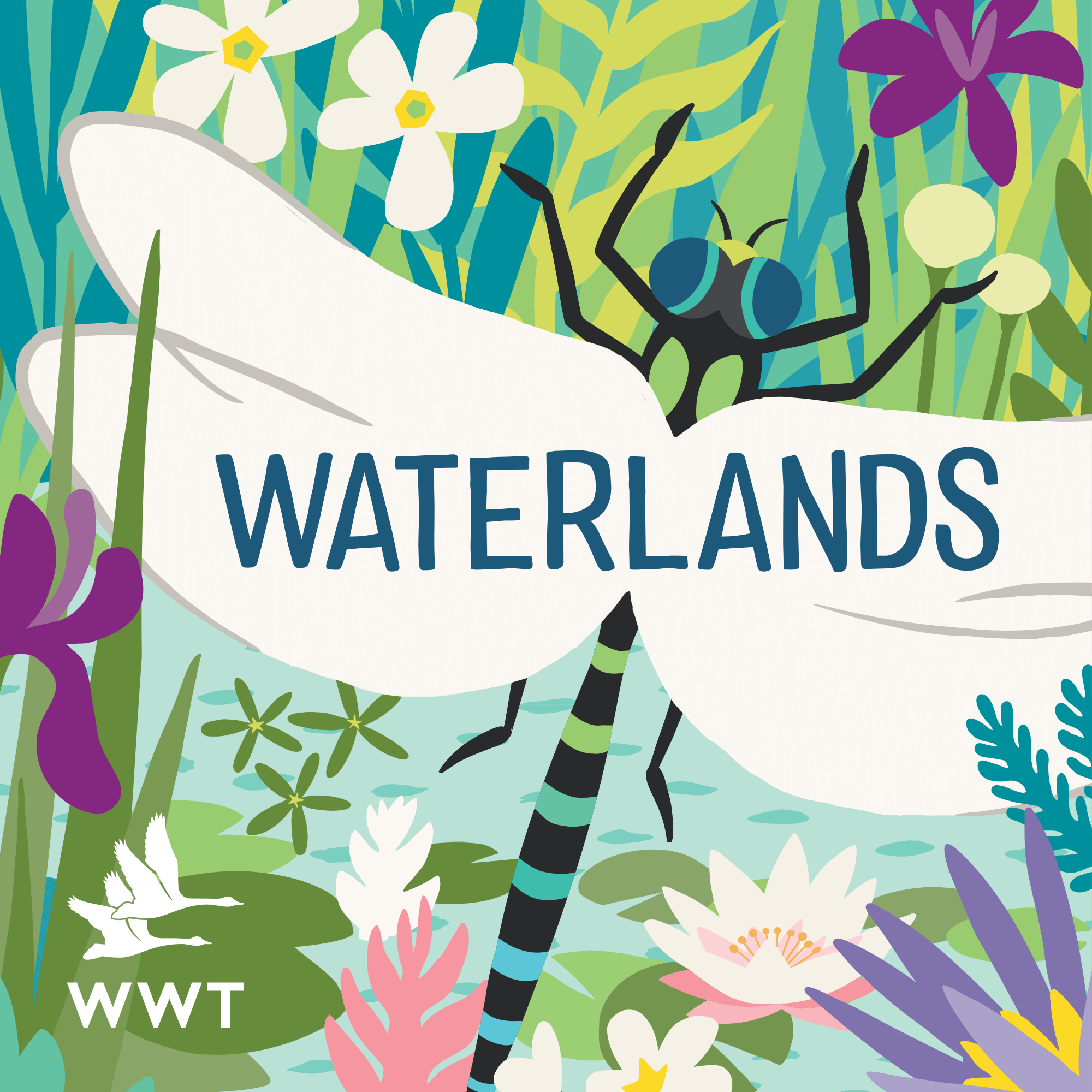 Waterlands_S2_Ident.png