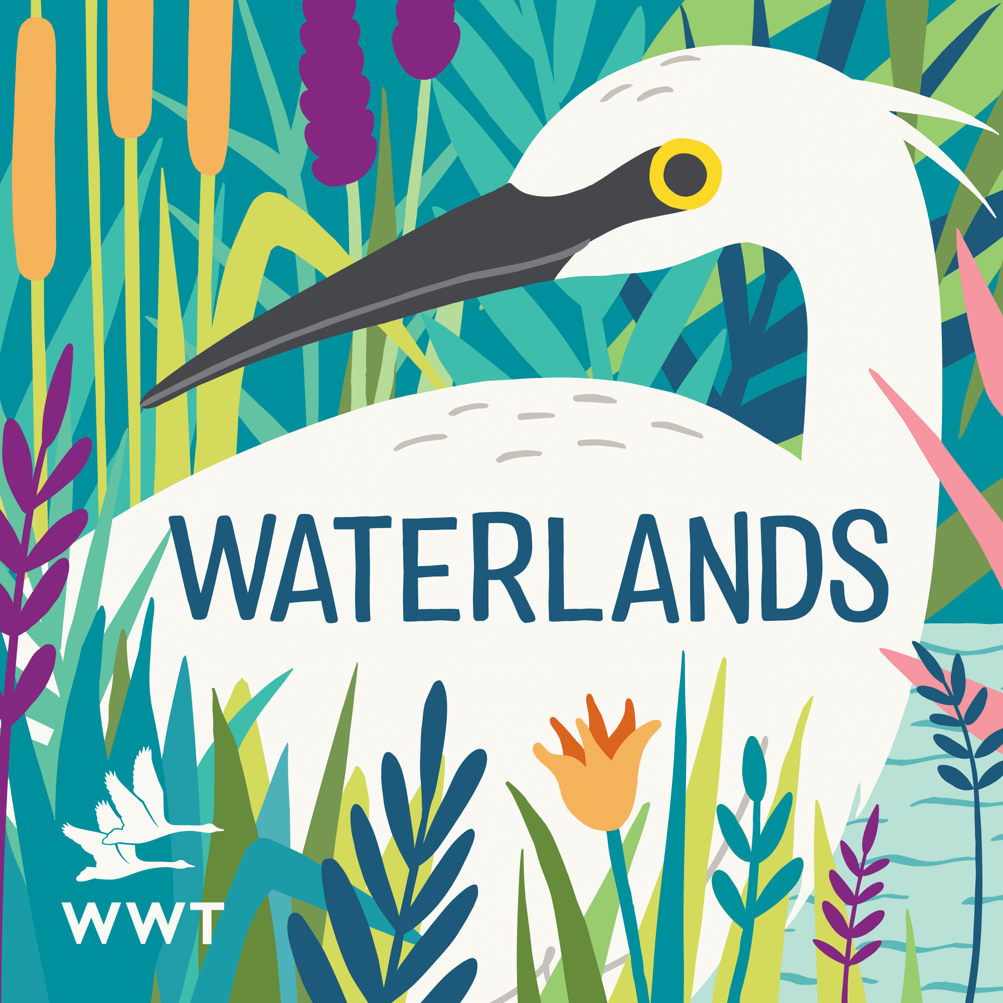 WWT_Waterlands_Ident.png
