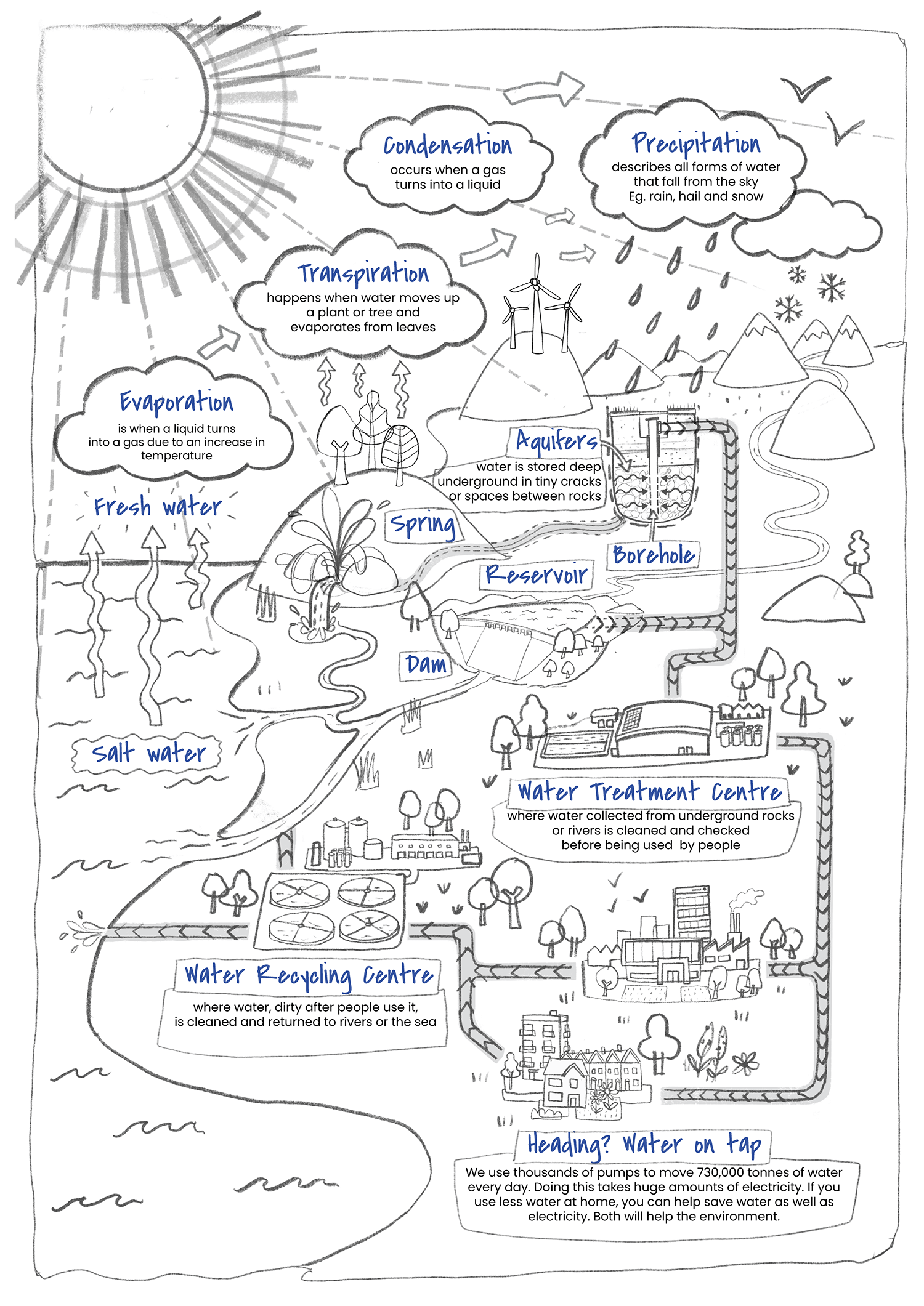 WESSEX WATER - THE WATER CYCLE — Carys-ink | Freelance Illustrator