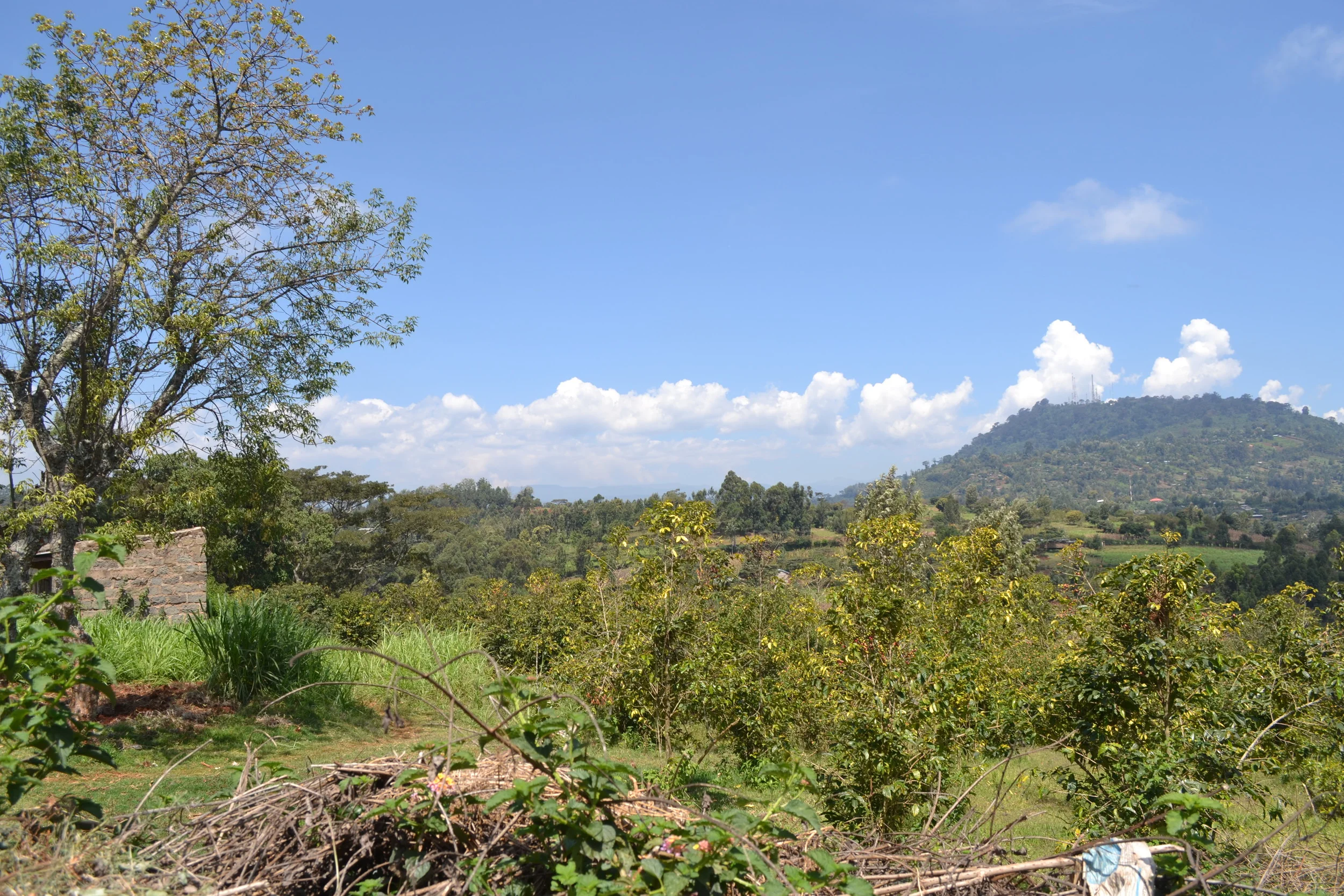 The view from the Metropolitan Sanctuary for Sick Children, Nyeri, Kenya.