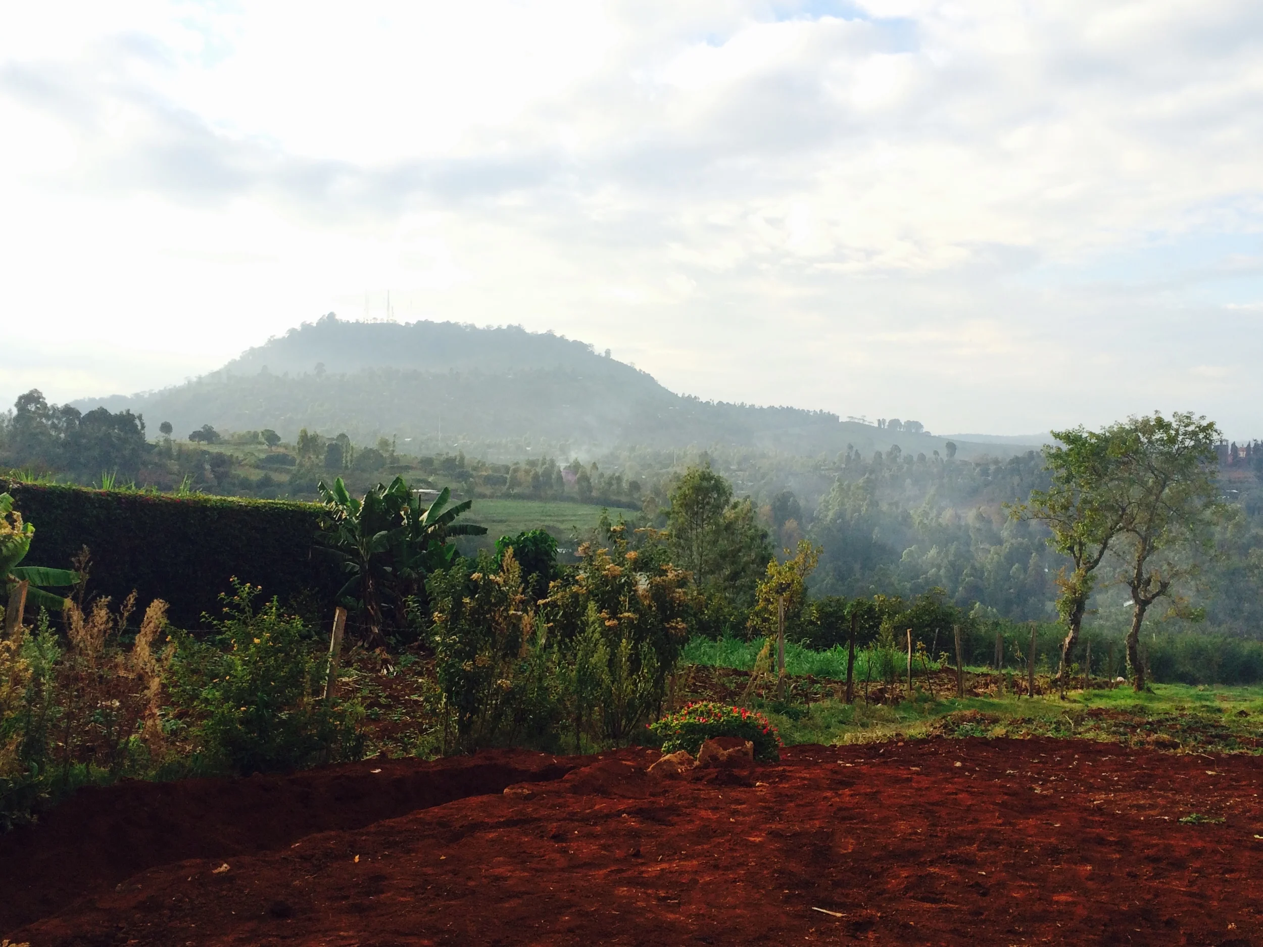 View of Nyeri hill from The Metropolitan Sanctuary site, Kamakwa.