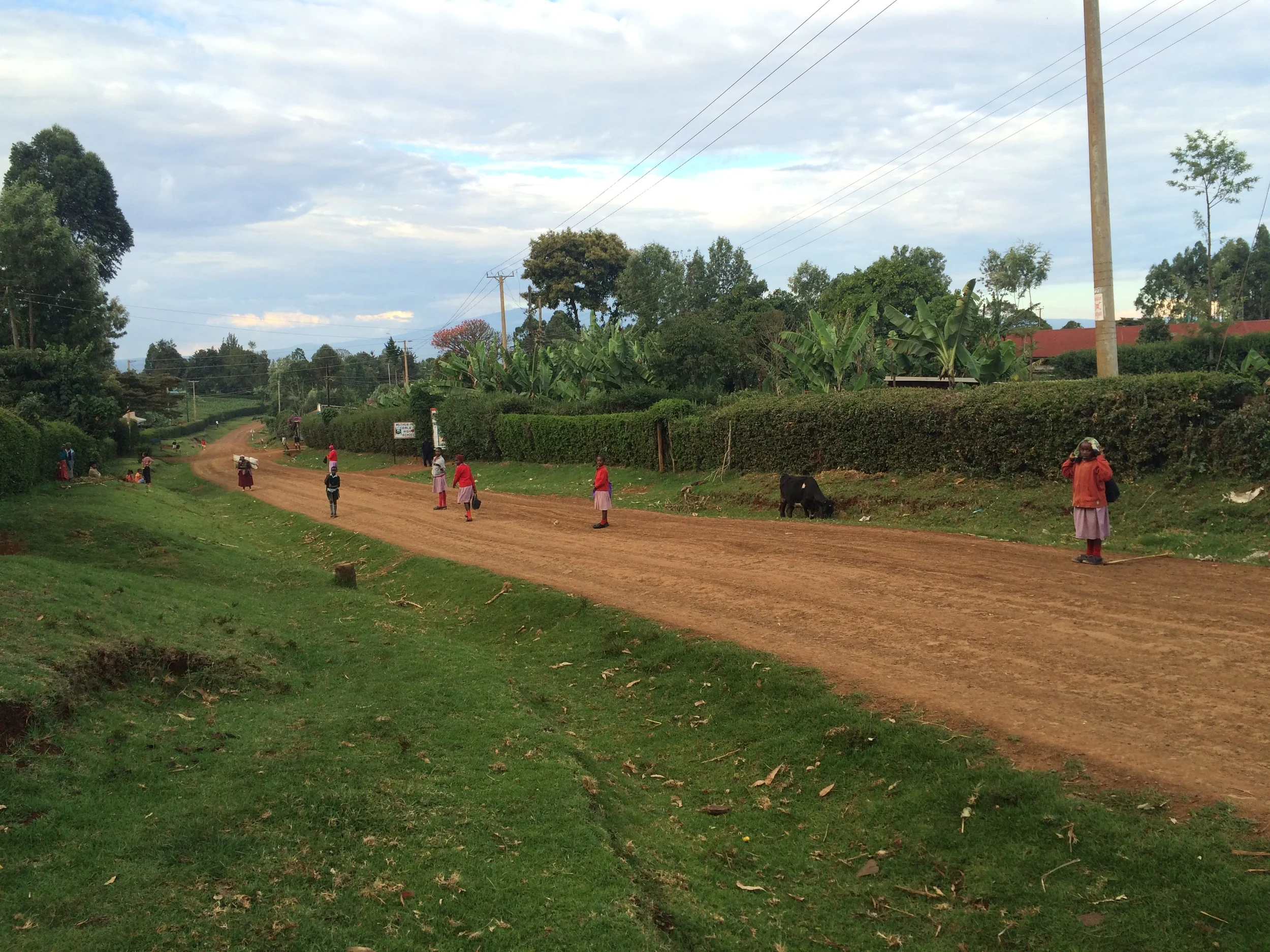 Local children walk home from school in rural Kenya.