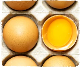 r-EGG-YOLK-HEALTH-large570_Fotor.jpg