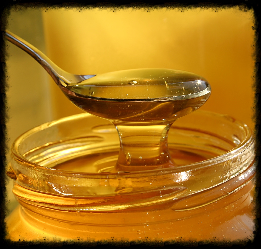 honey-atroszko-sxc1.jpg