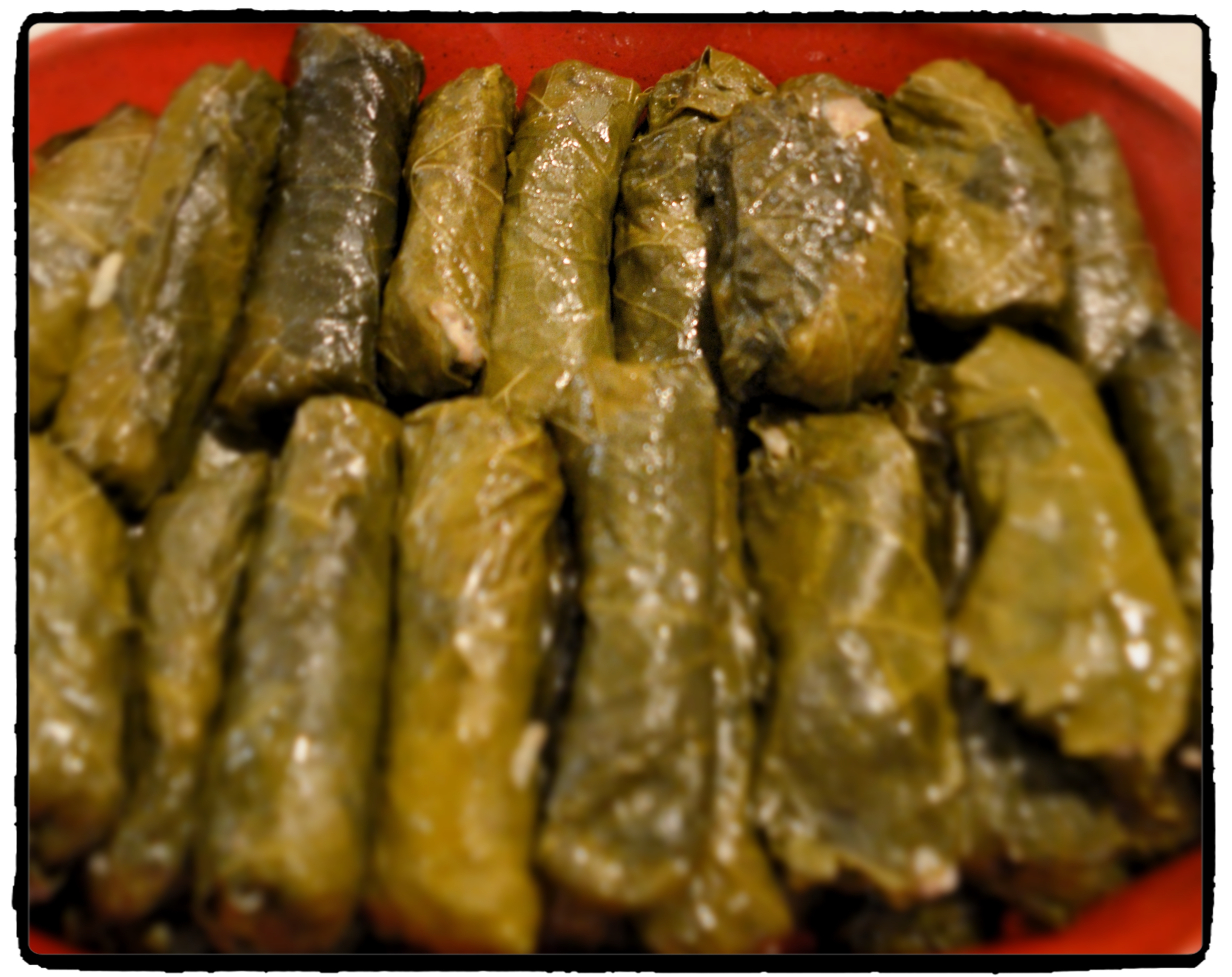 Rice stuffed vine leaves