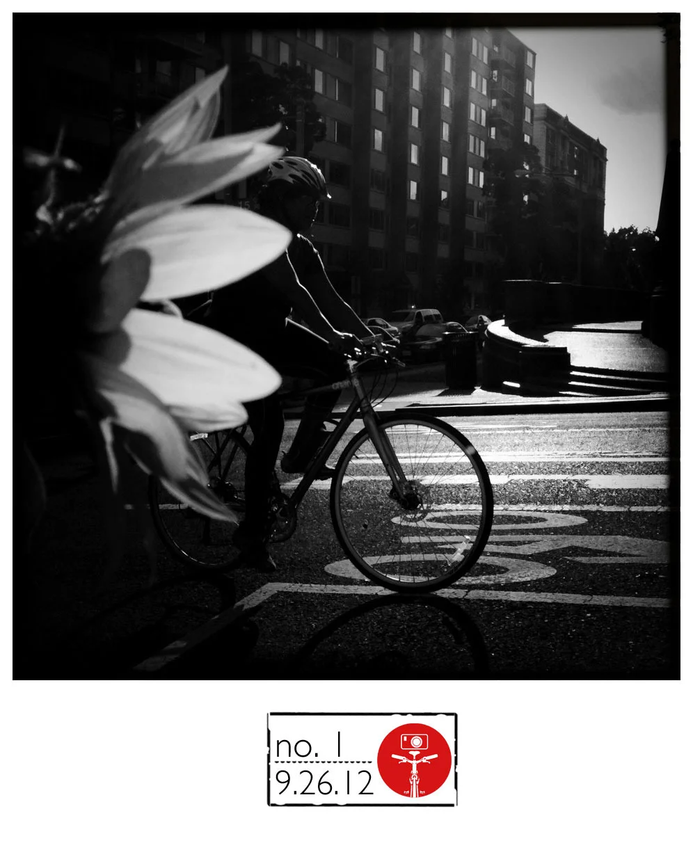 scenessaddleblog.#1.jpg