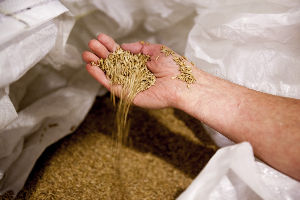 Grains are sourced from local Virginia farms. 