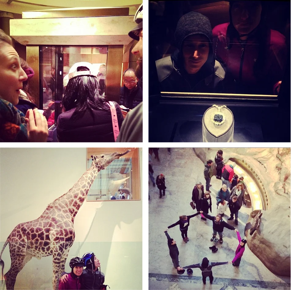 2014 Looking for love took us to see the mammal with the biggest heart and the cursed 45 carat Hope Diamond. 