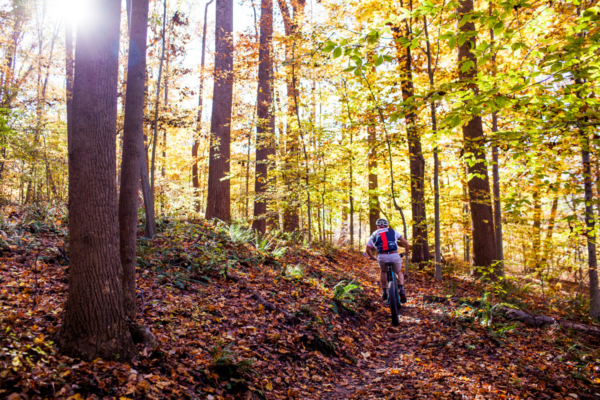 One of our co-owners, Erik, climbing through the beautiful Perimeter Trail at Rosaryville. Bigger tires = more traction = more comfort = more time in the saddle... thus makes climbing and descending smooth and forgiving. 