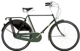 Pashley Roadster Sovereign — DC's Favorite Bike Shop - BicycleSPACE