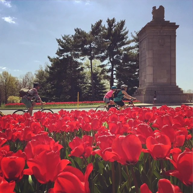 Greenscape Cooridor Ride 2015 - stay tuned for a full season of new rides this year