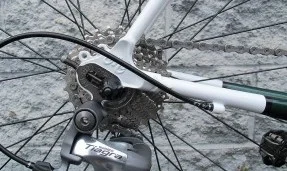 Space-Horse-Detail-1.jpg
