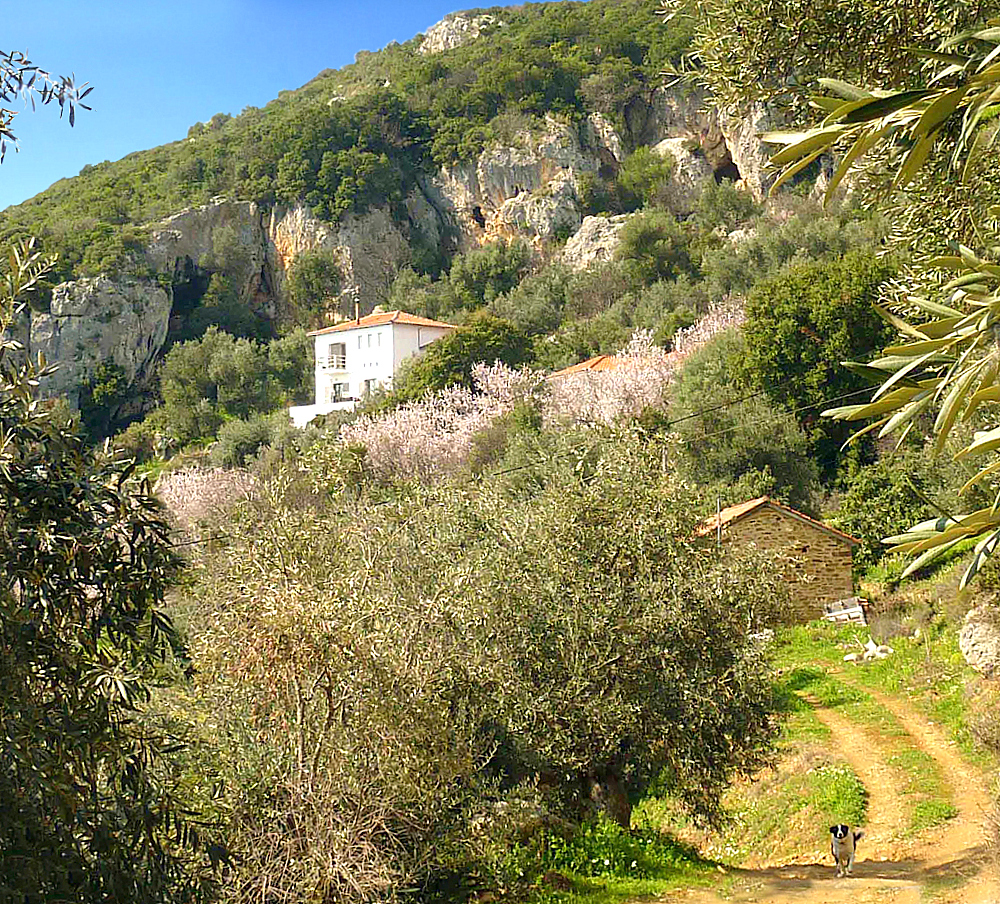 2 view from road rgb auto.jpg