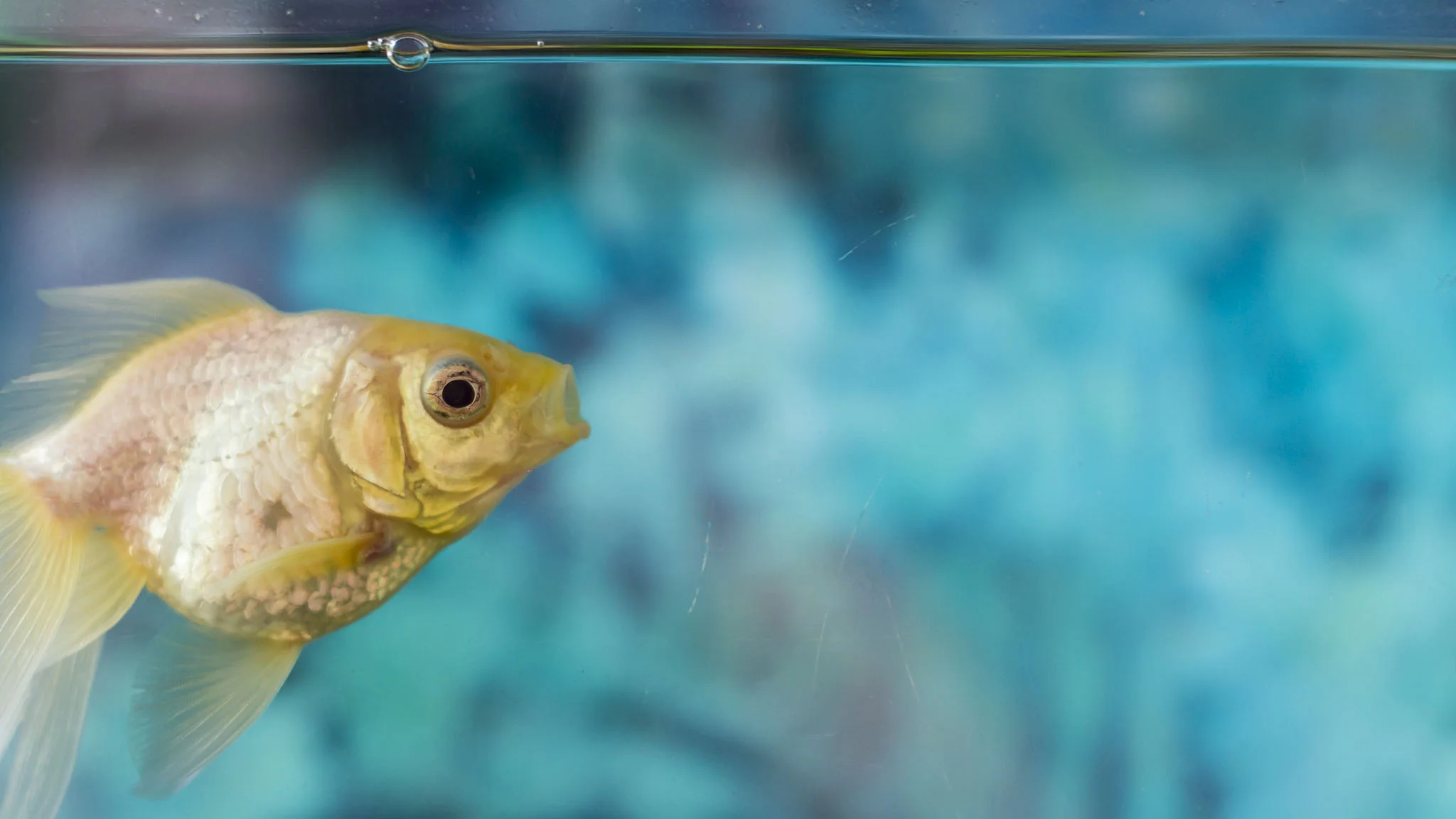 Jak vést své děti k zodpovědnosti.