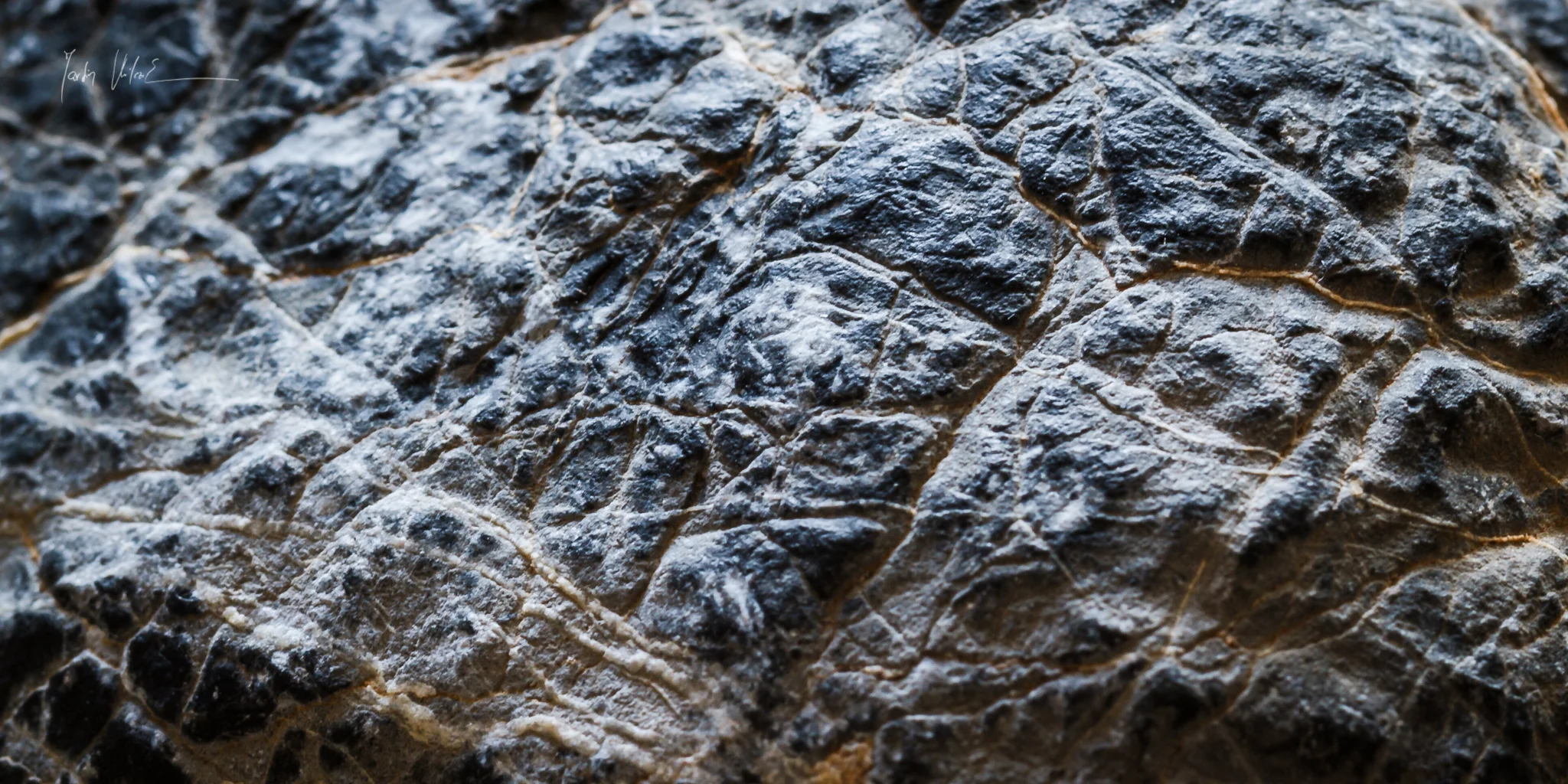 Čtyři Skutečnosti