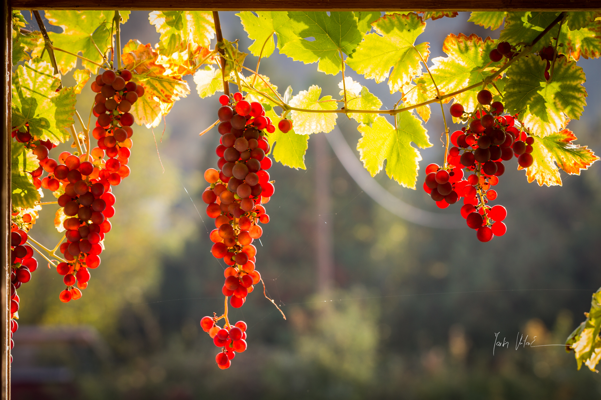 Rozhovor o podstatě chudoby a bohatství