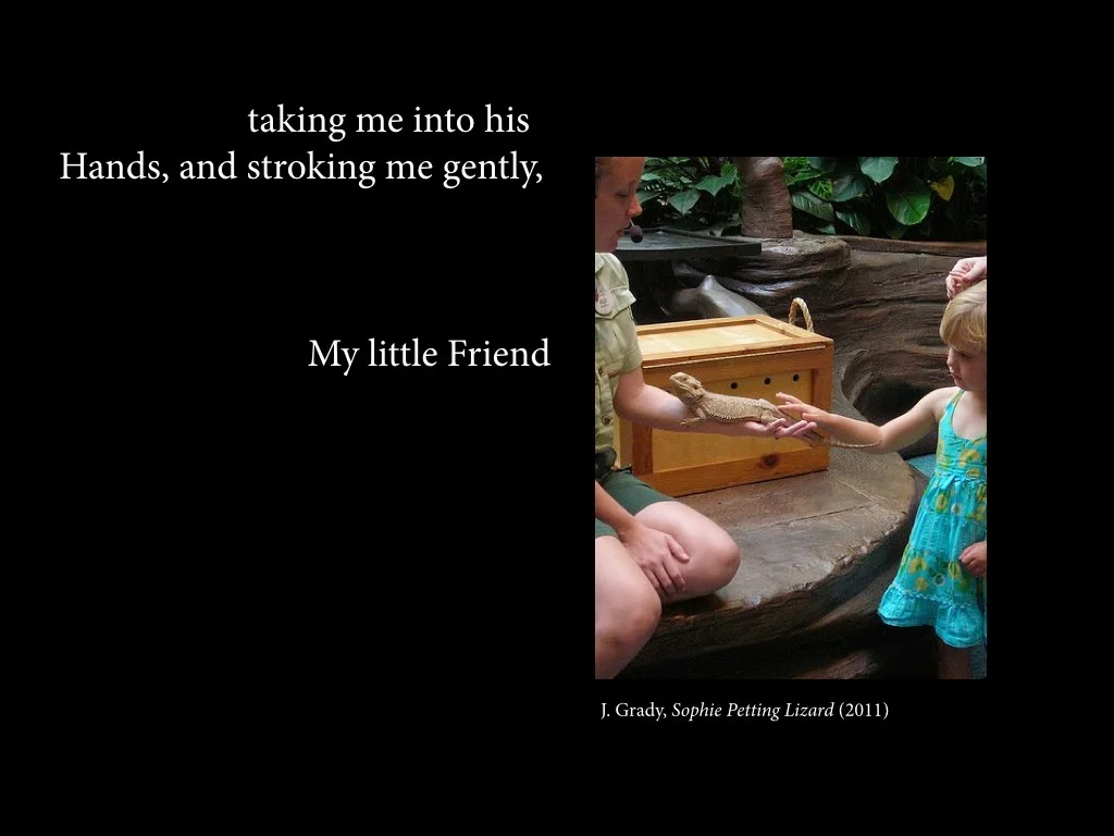 J. Grady, Sophie Petting Lizard (2011)