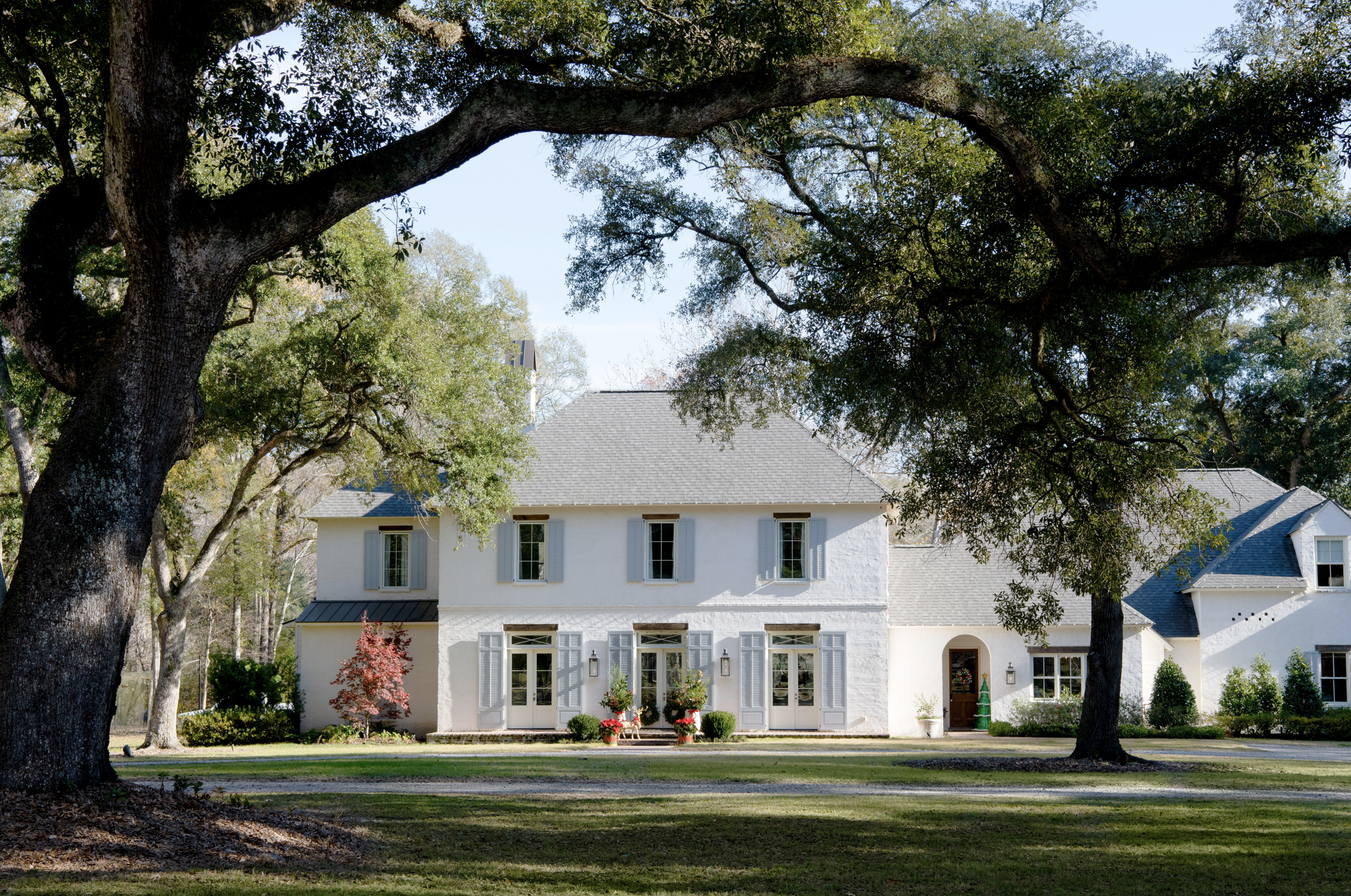 Screen Shot 2024-11-25 at 8.53.37 AM.png