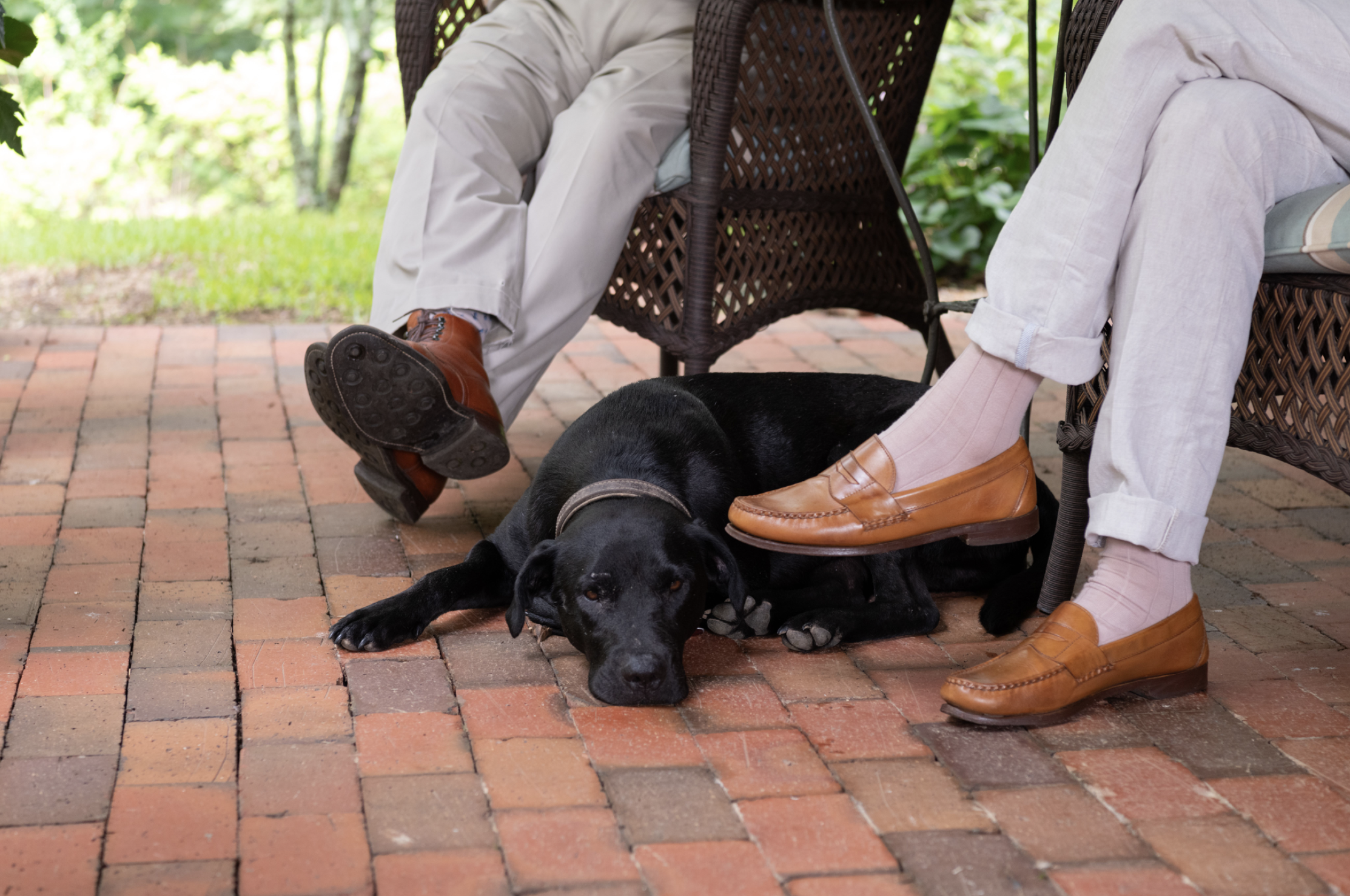 Screen Shot 2024-11-26 at 10.45.21 AM.png