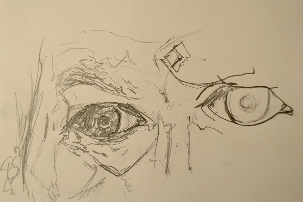 Eye, 6" x 8", pencil on paper