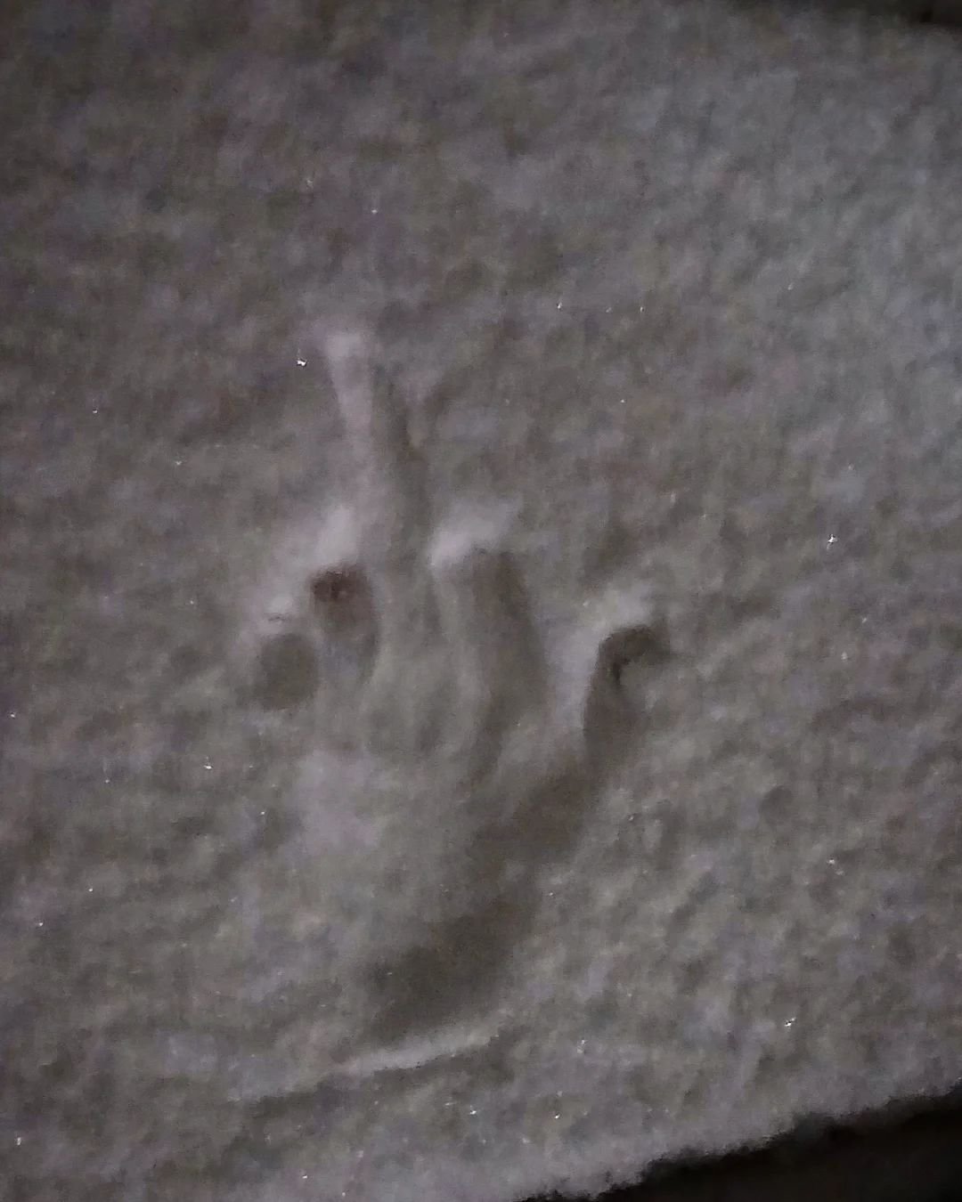 It's snowing