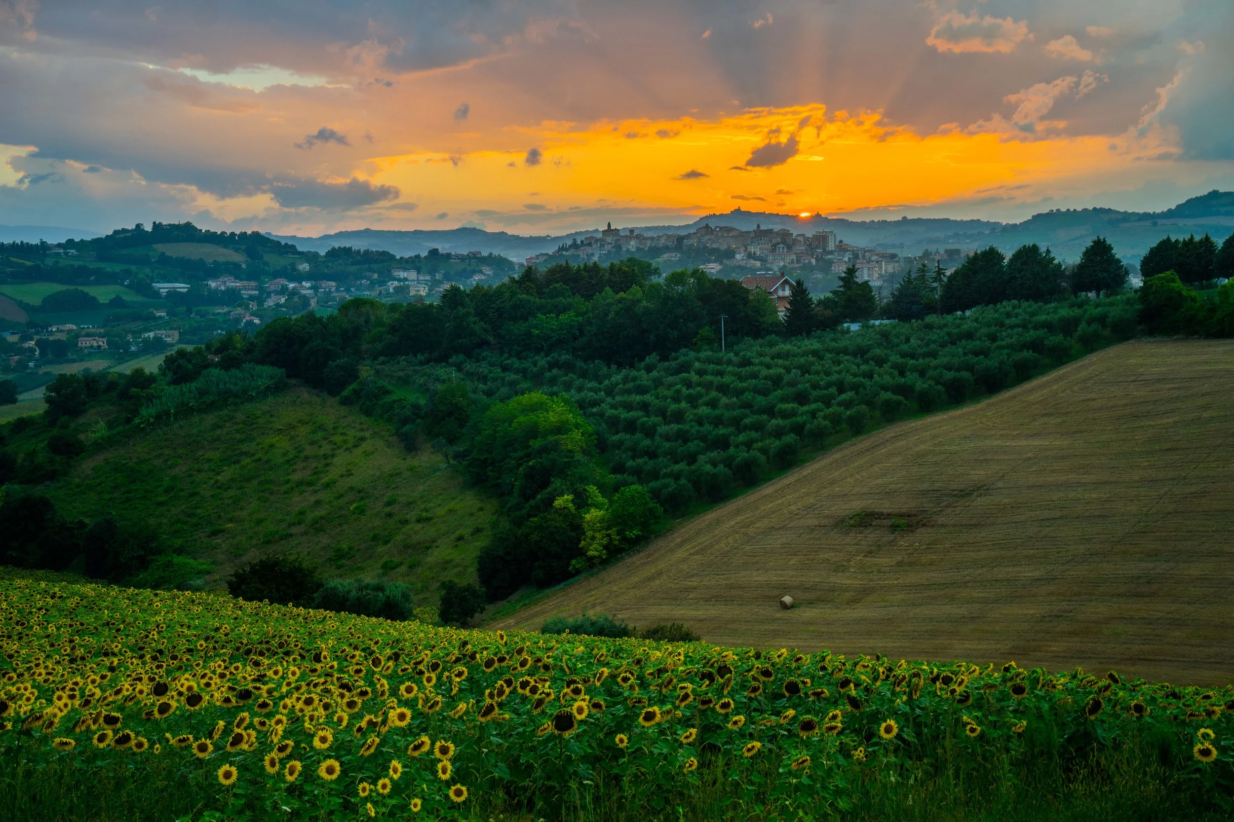 201408 Italy Summer -9-57.jpg