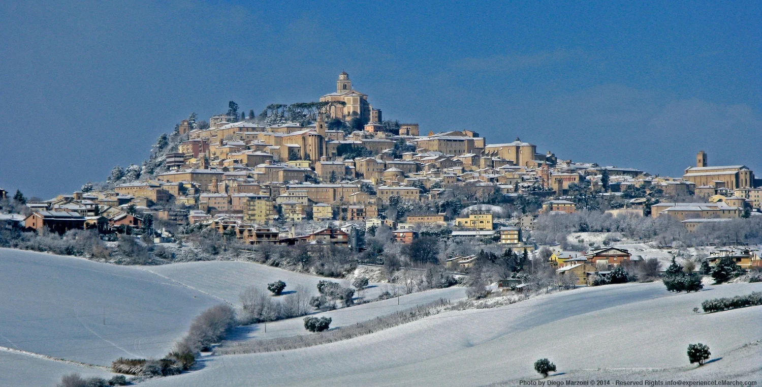 Fermo