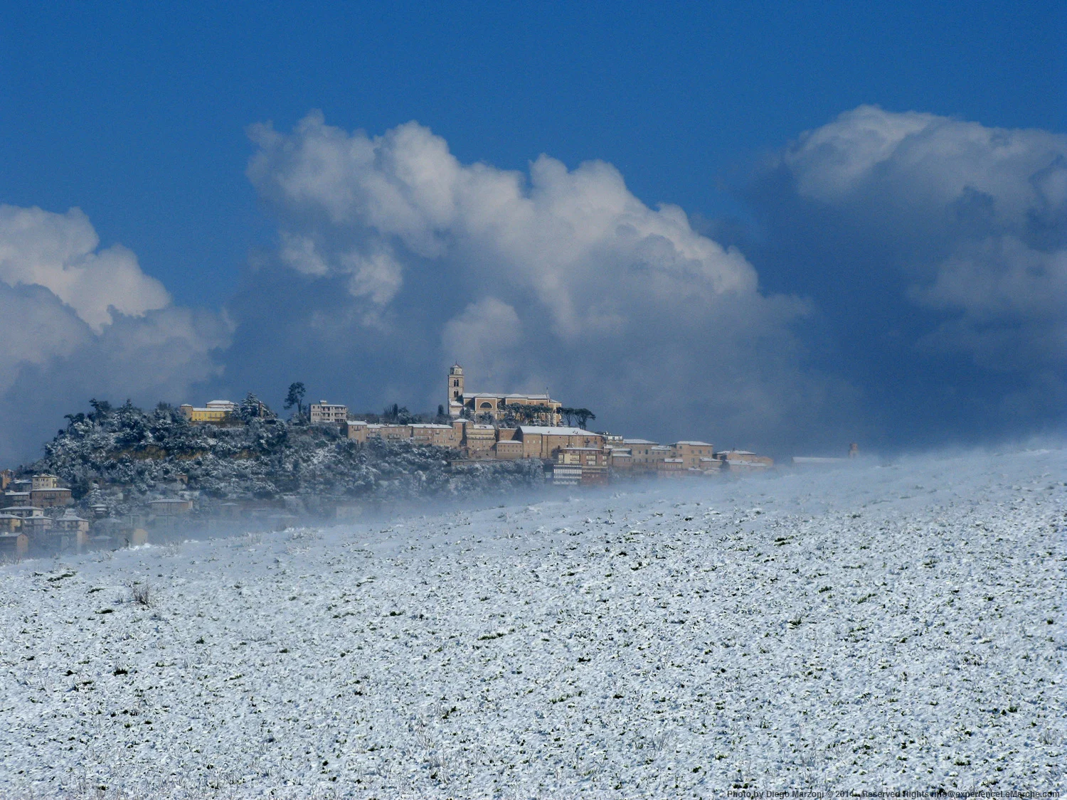 Fermo