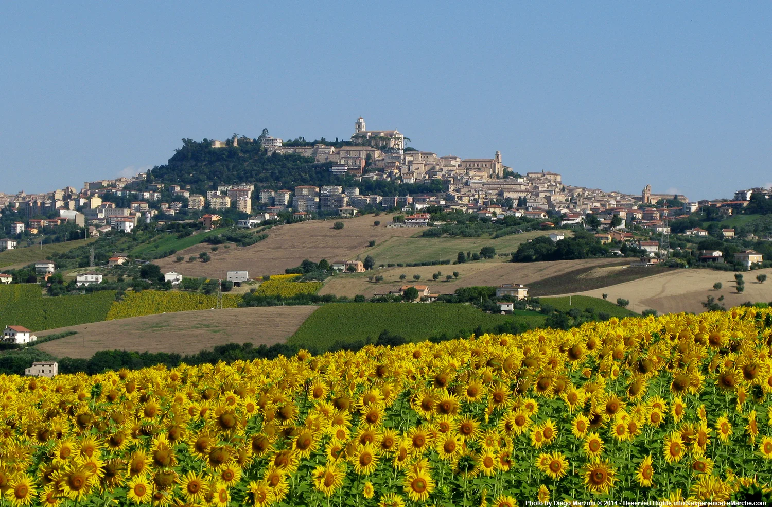 Fermo