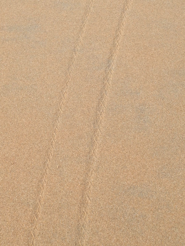 P2080029.jpg