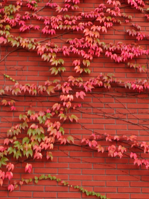 PA270005.jpg