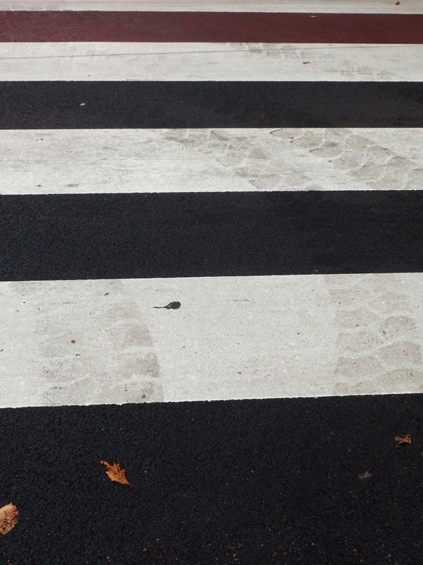 PA290003.jpg