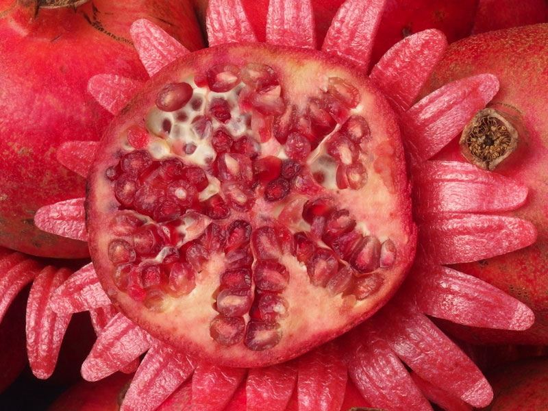 PA310041.jpg