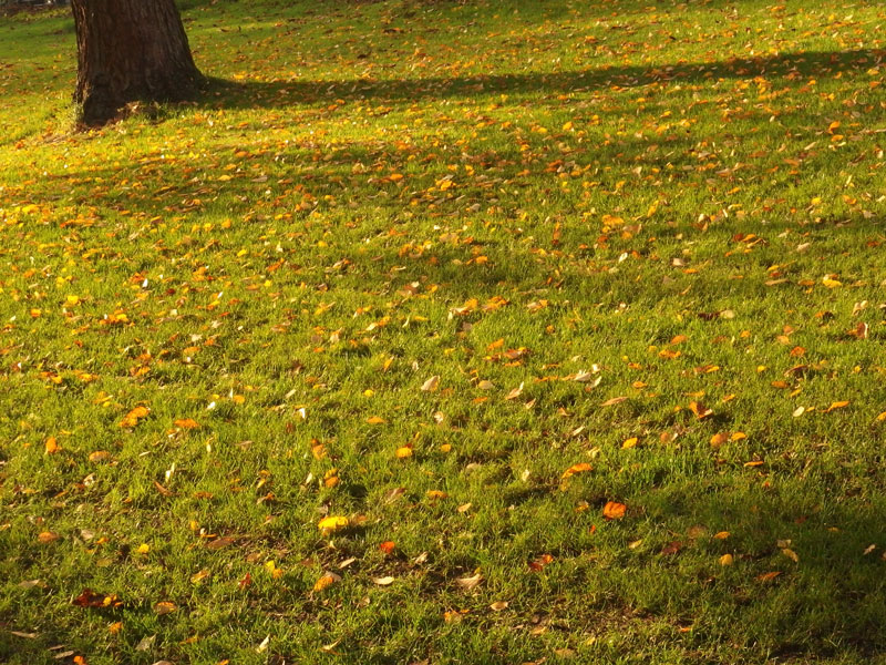 PA310064.jpg