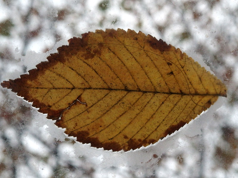PB030145.jpg