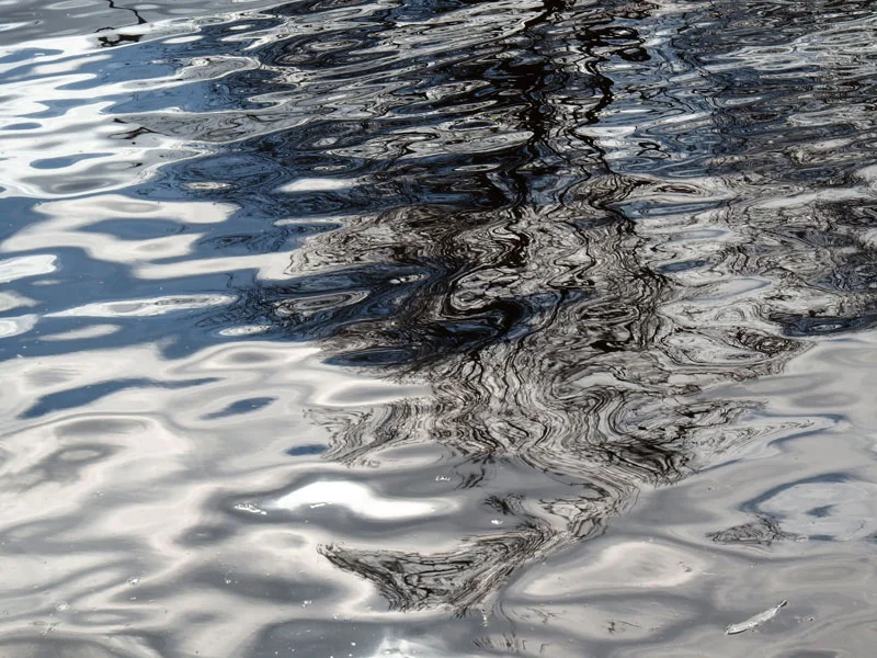 06042015 243/365