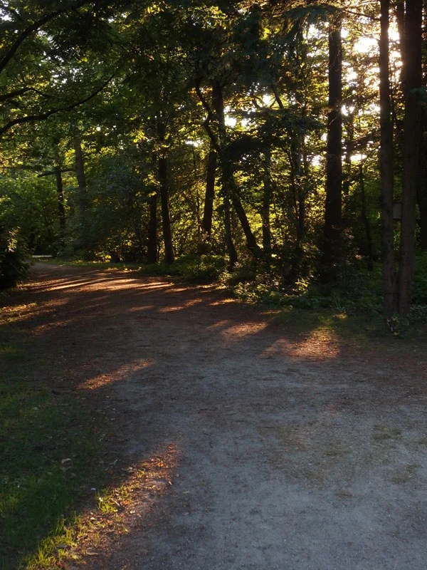 P6160225.jpg